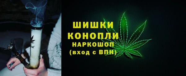 амф Елизово