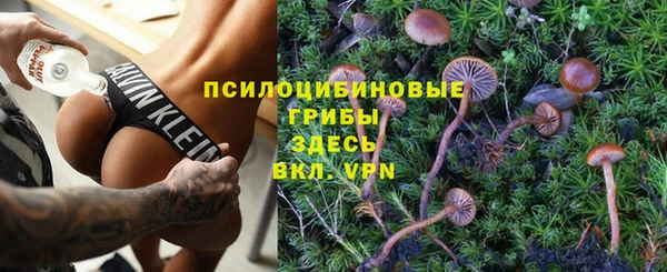 СК Елабуга