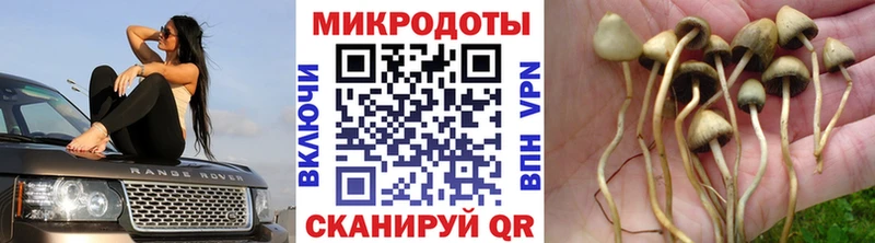 Галлюциногенные грибы ЛСД Ленинск